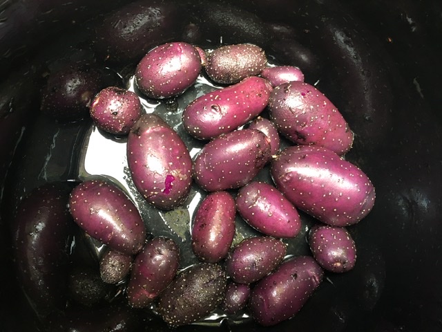 First Potatoes