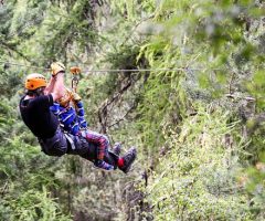 Zip Lining In Kincraig